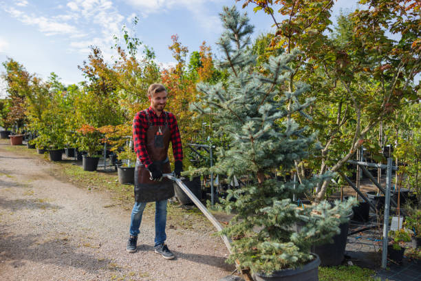 Best Lawn Watering Services  in Blanco, TX