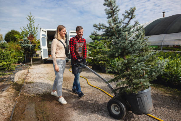 Best Seasonal Cleanup (Spring/Fall)  in Blanco, TX